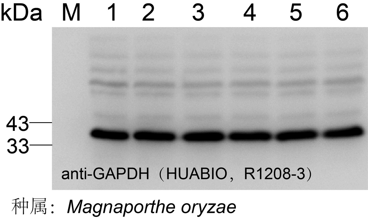R1208-3_2.jpg