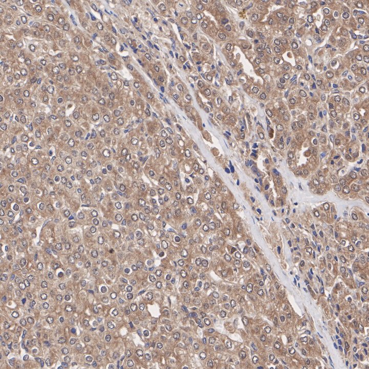 R1312-14_4.jpg