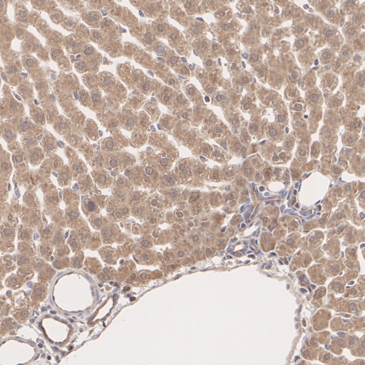 R1312-14_8.jpg