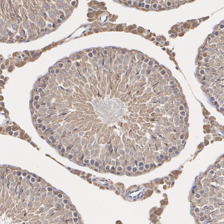 R1404-1_3.jpg