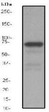 RE6064_1.jpg